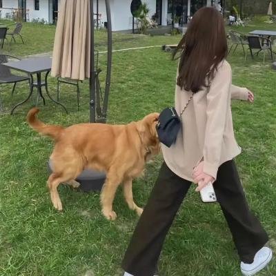 没好婚姻