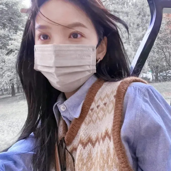 为什么猫都叫不来